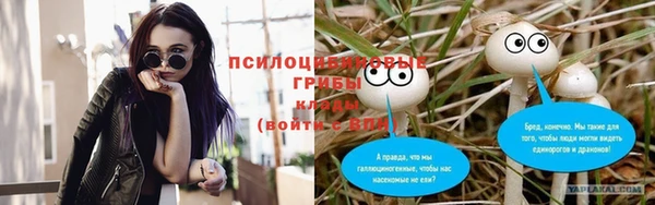 крисы Арсеньев