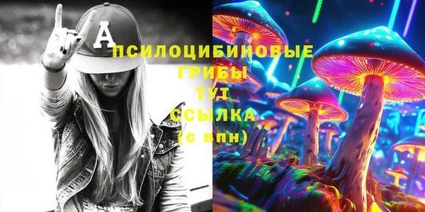 apvp Алзамай