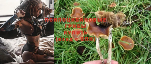крисы Арсеньев