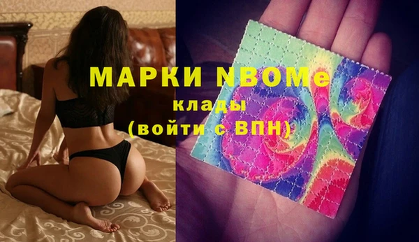ешки Аркадак