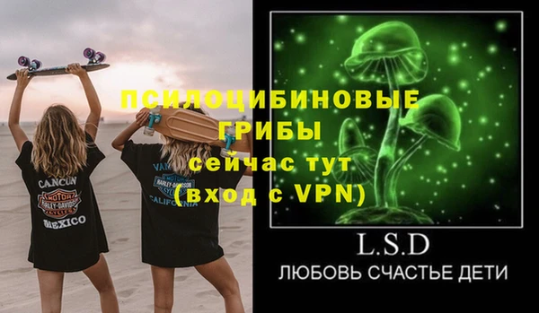 ешки Аркадак