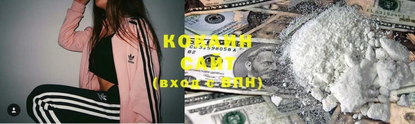 крисы Арсеньев