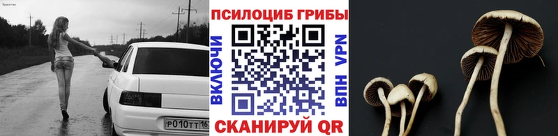 как найти закладки  Новороссийск  Галлюциногенные грибы мухоморы 