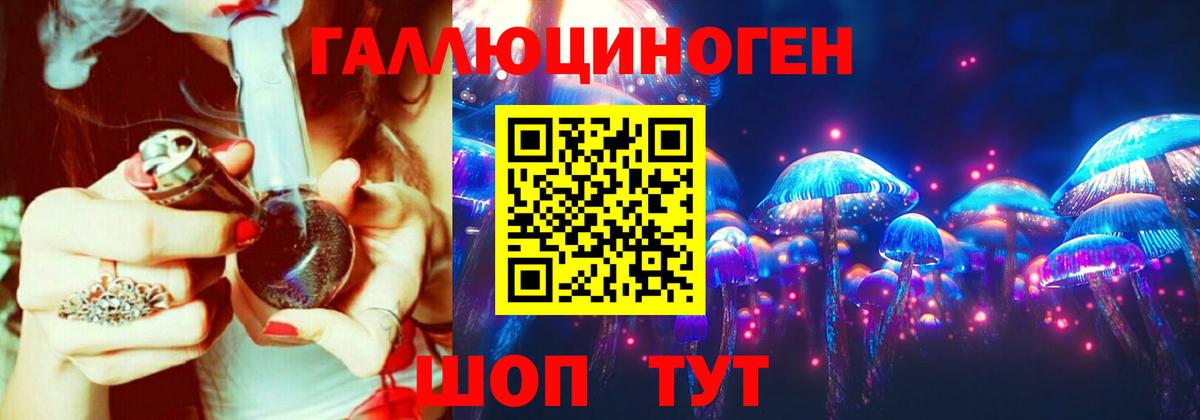 Новороссийск  Псилоцибиновые грибы GOLDEN TEACHER  Вход с VPN  Псилоцибиновые грибы GOLDEN TEACHER 