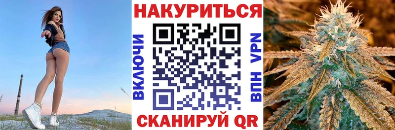 закладка  Новороссийск  Бошки Шишки семена 